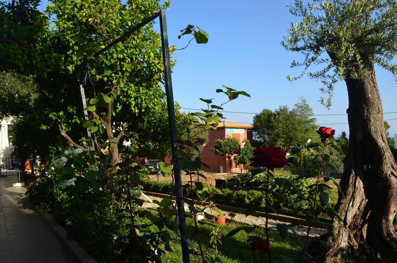Hotel Harilla Classic 3*